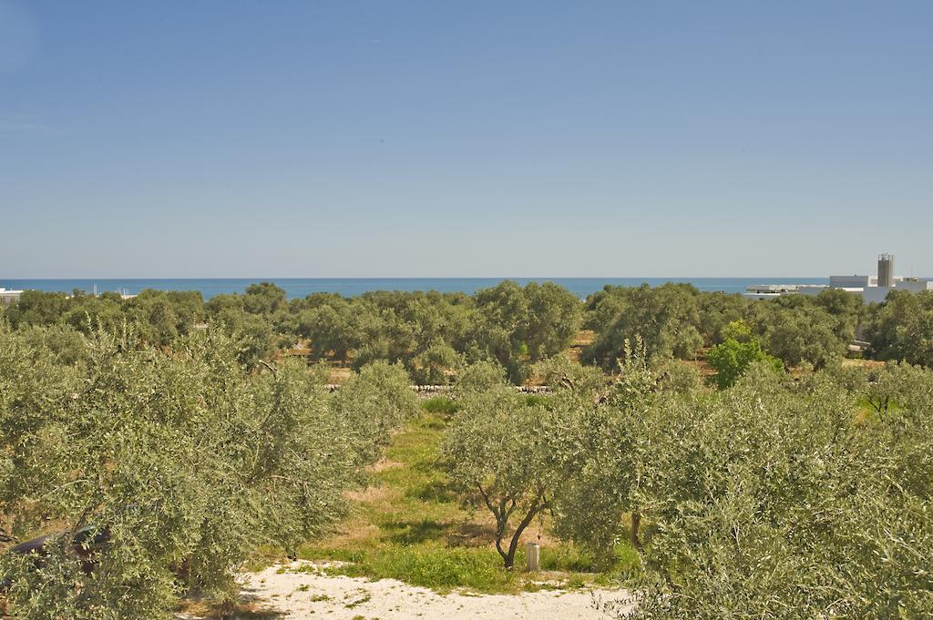 Masseria Spina Resort Monopoli Quarto foto
